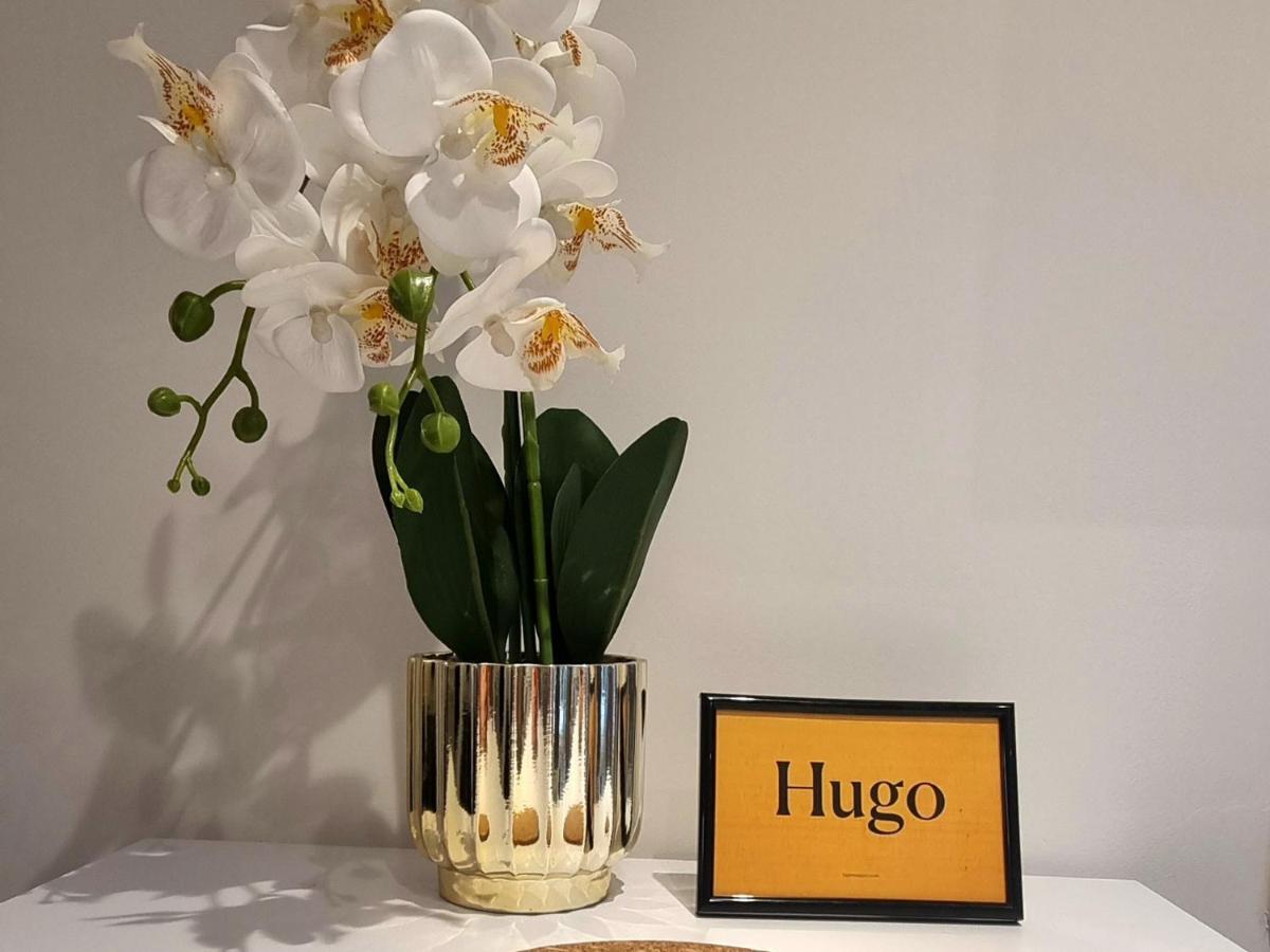 Apartamento Hugo Old Town Belgrado Exterior foto